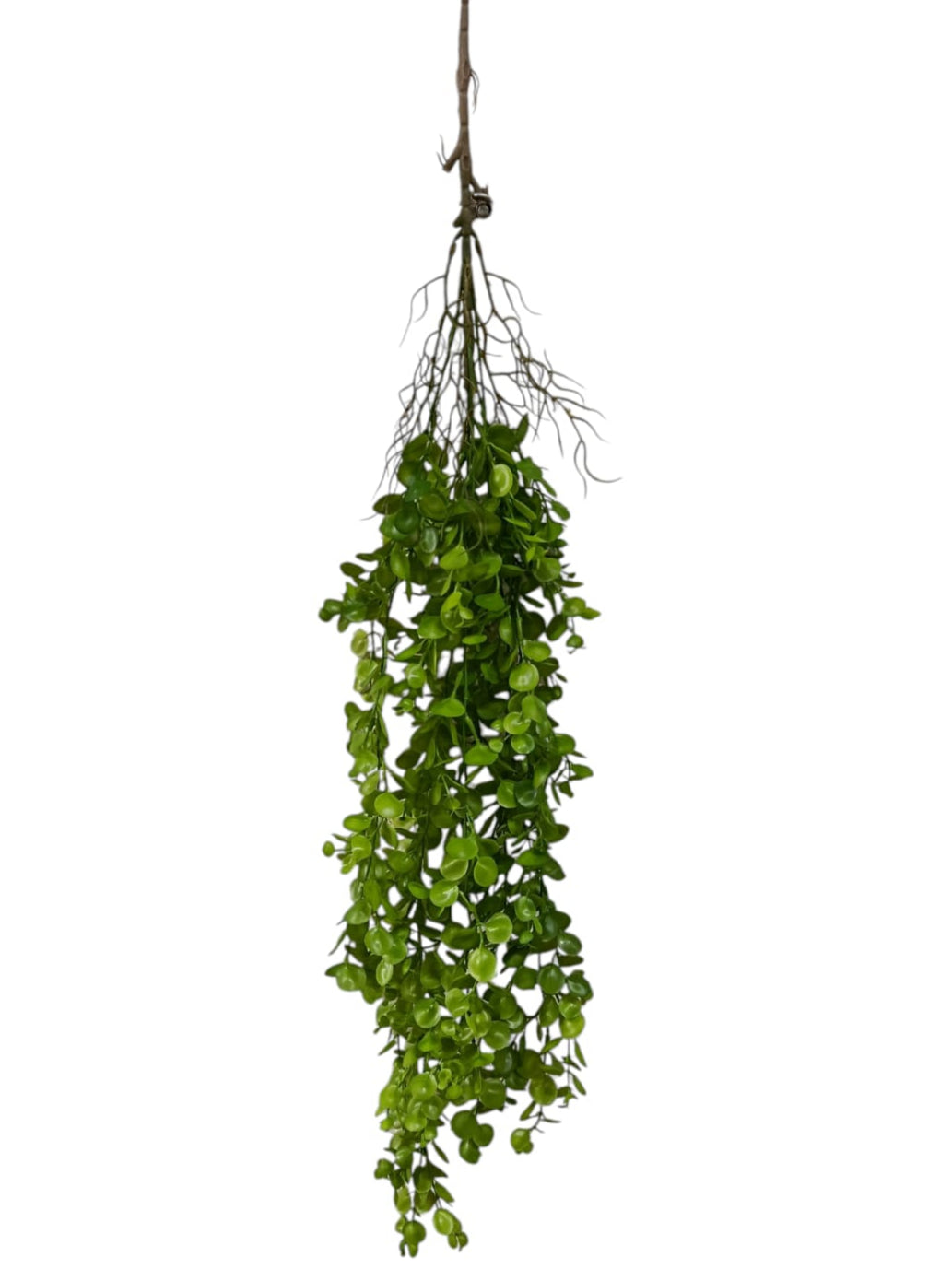 Colgante Eucalipto Premium 1mts