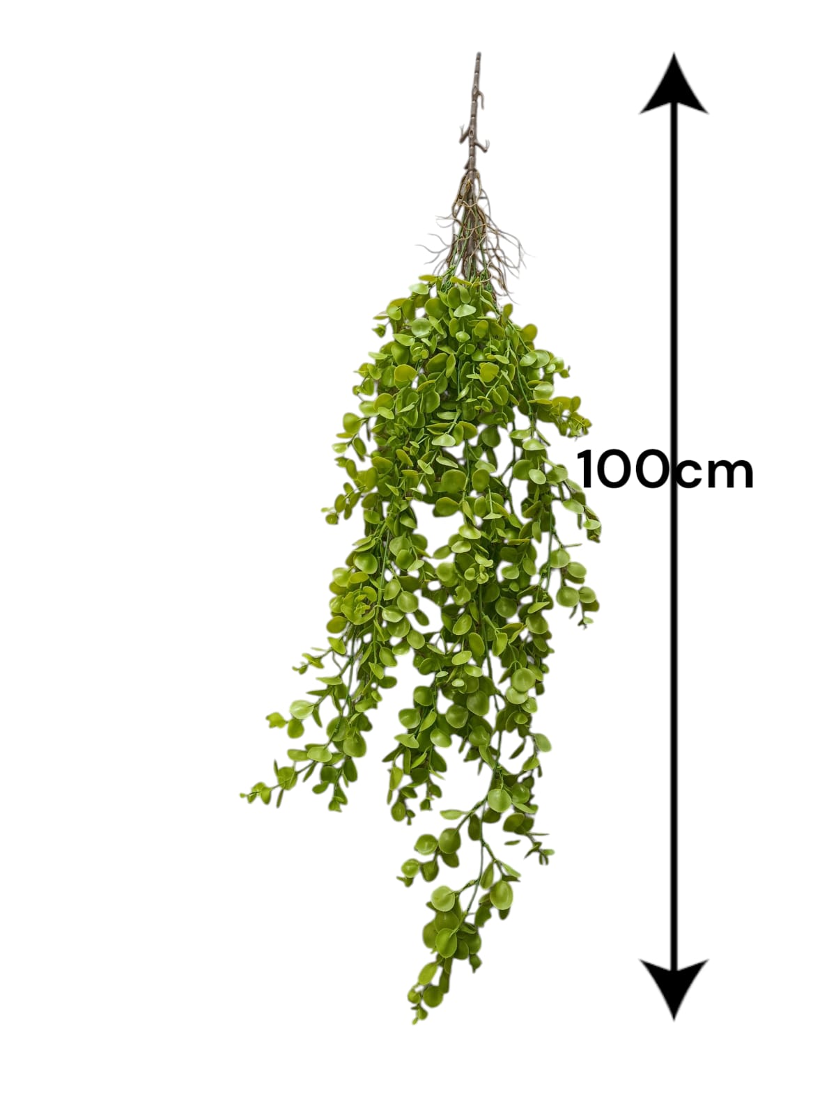Colgante Eucalipto Premium 1mts
