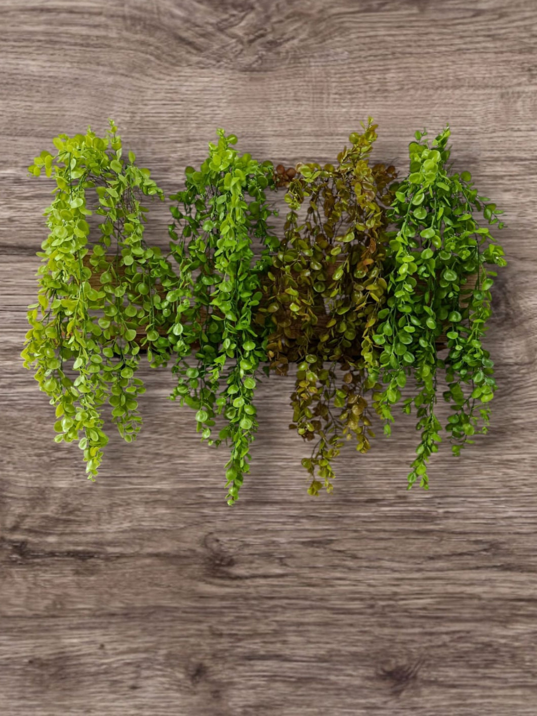 Colgante Eucalipto Premium 1mts