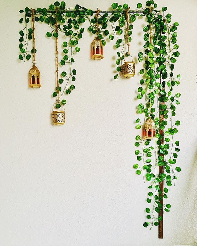 Docena Enredadera Mini Redonda x12 2.10mts