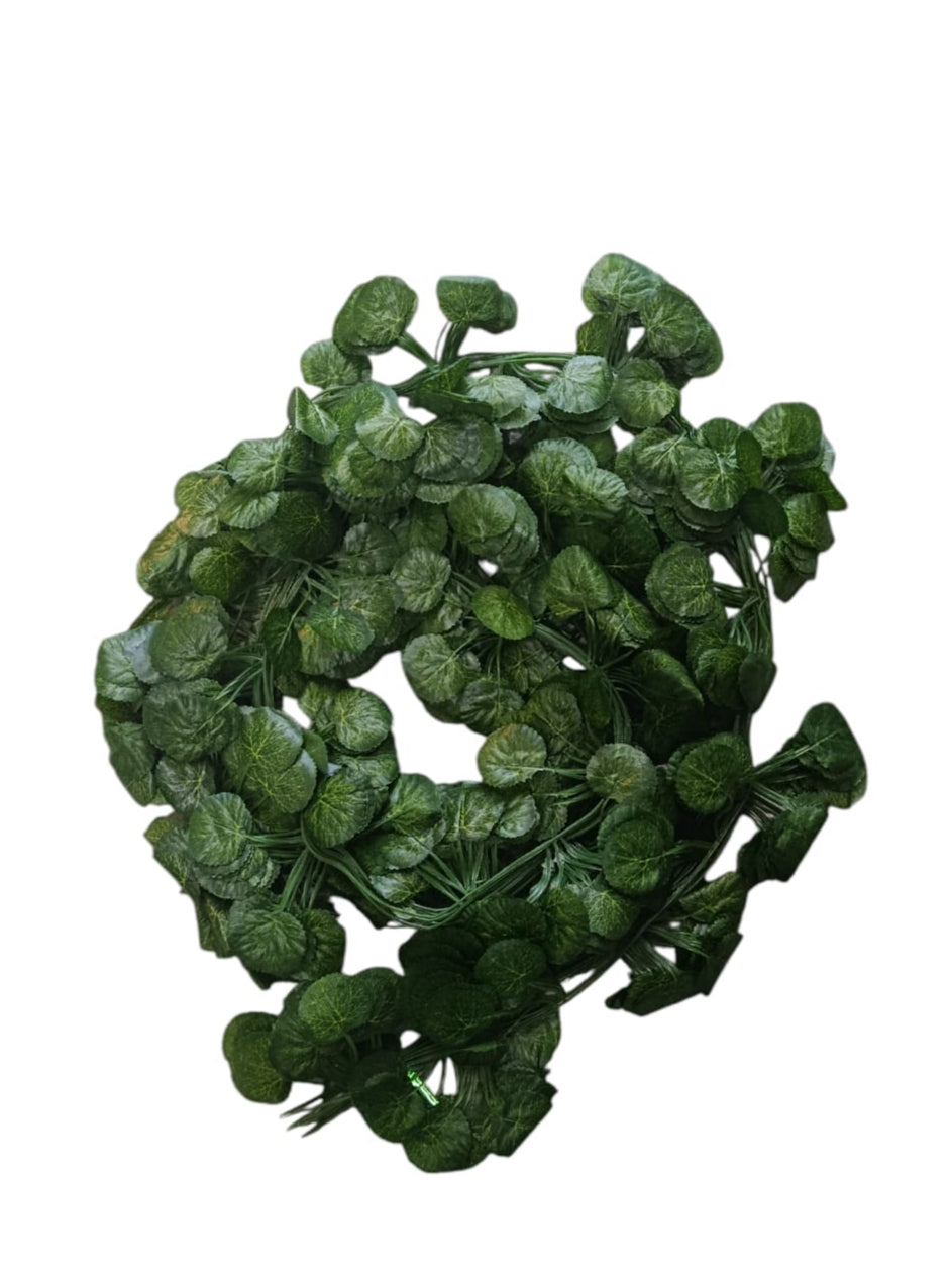 Docena Enredadera Mini Redonda x12 2.10mts