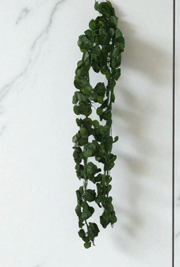 Docena Enredadera Mini Redonda x12 2.10mts