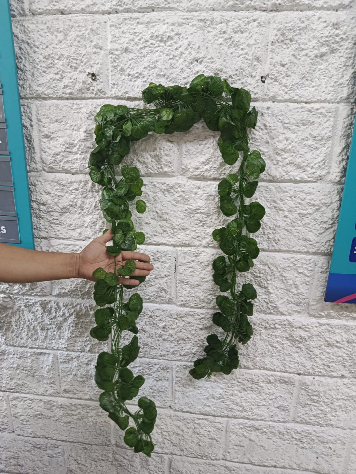 Docena Enredadera Mini Redonda x12 2.10mts