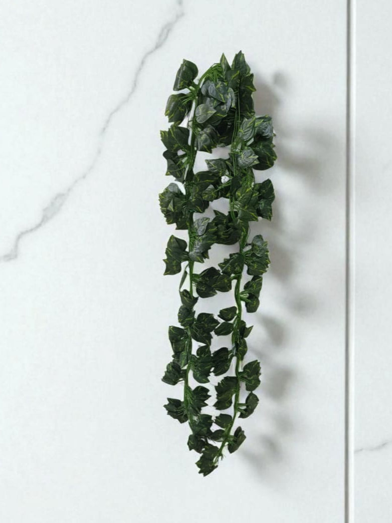 Docena Enredadera Mini Miami x12 2.10mts