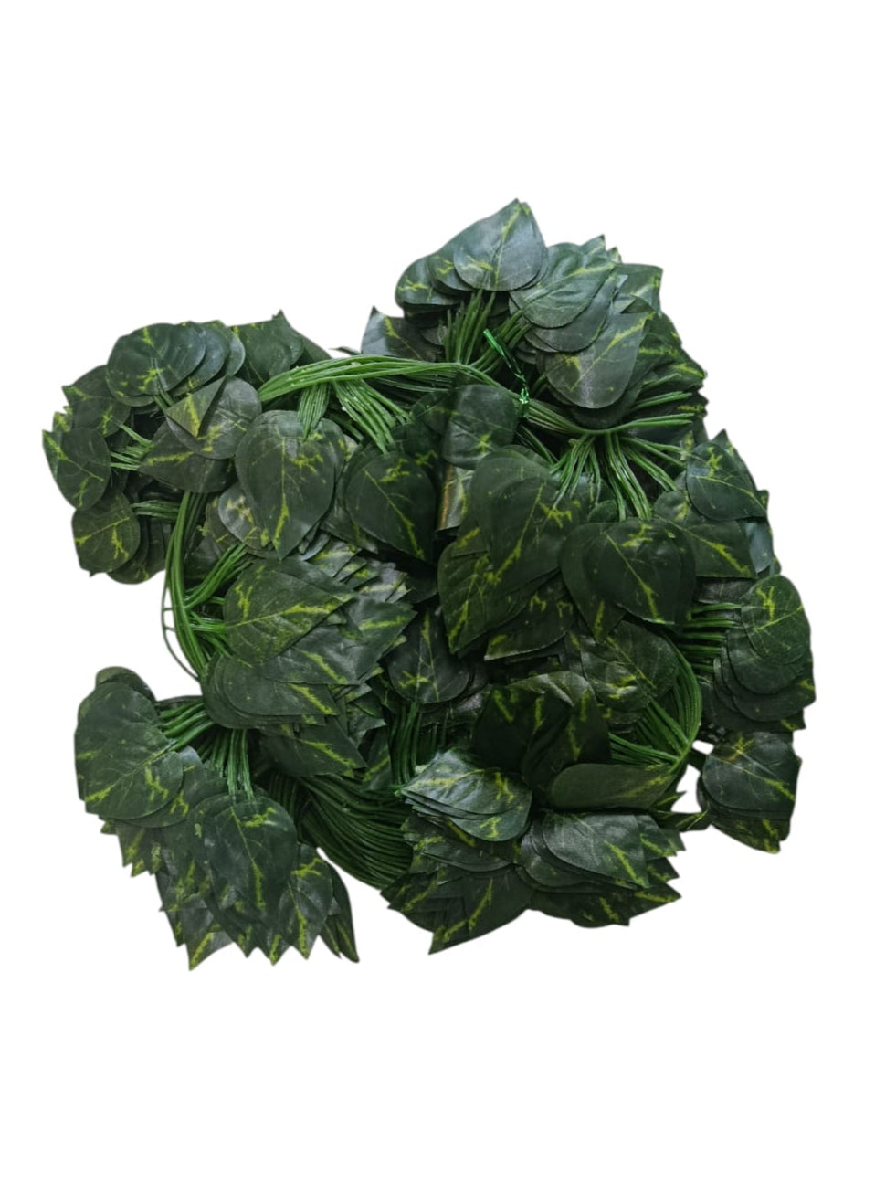 Docena Enredadera Mini Miami x12 2.10mts