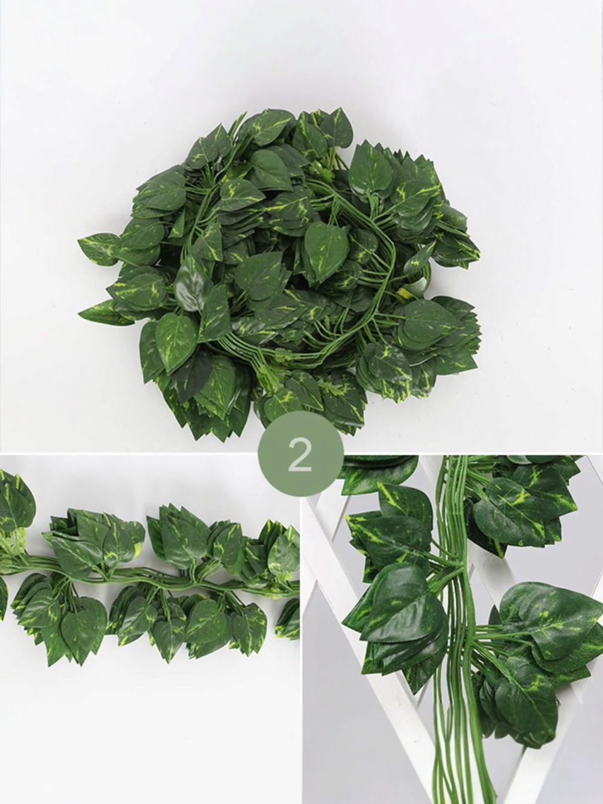 Docena Enredadera Mini Miami x12 2.10mts