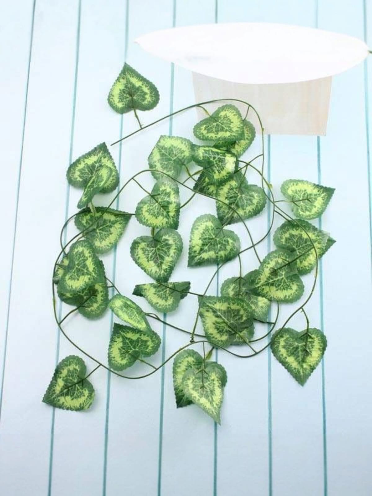 Docena Enredadera Corazón Manchado x12 2.30mts