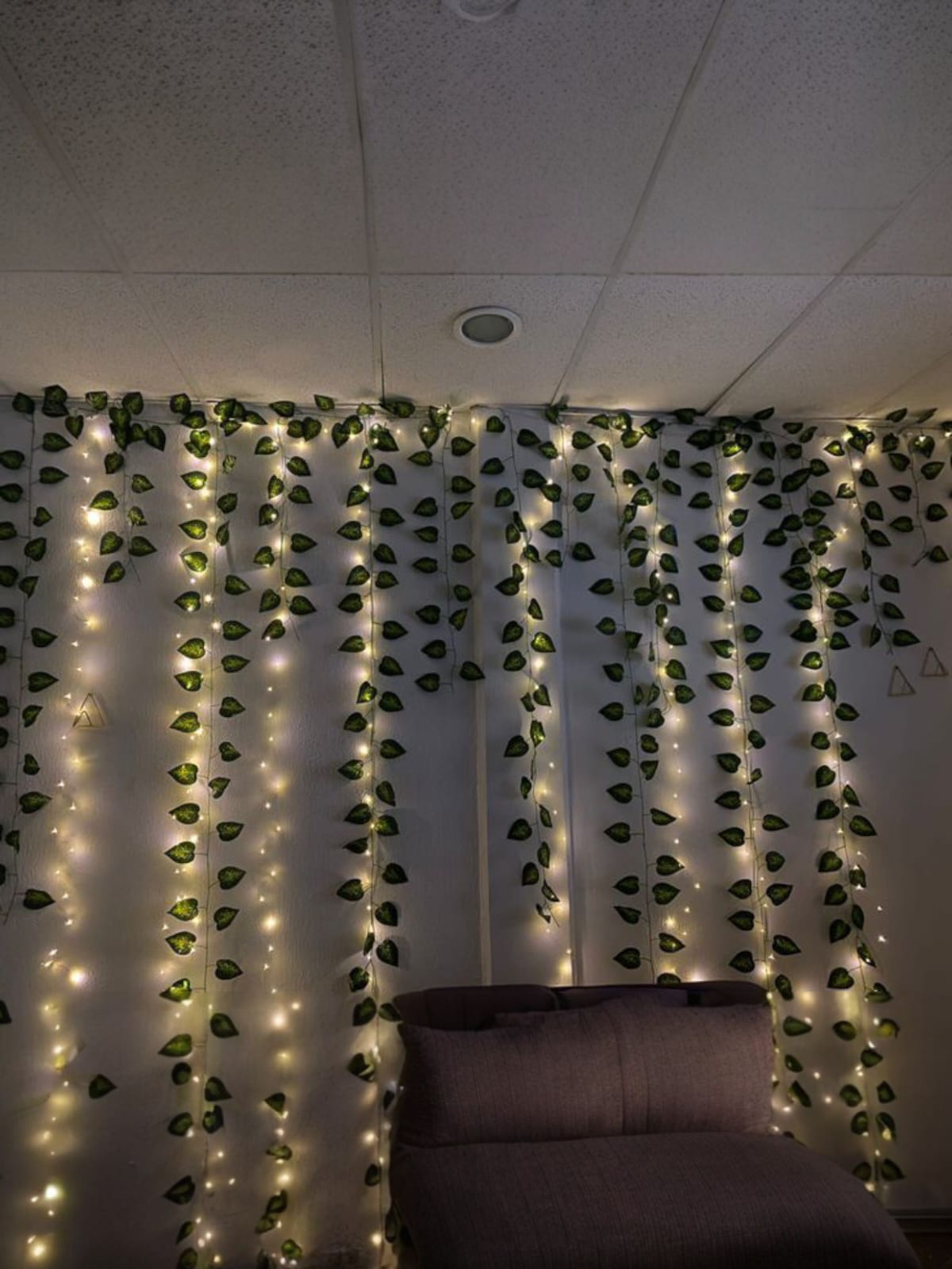 Docena Enredadera Corazón Manchado x12 2.30mts