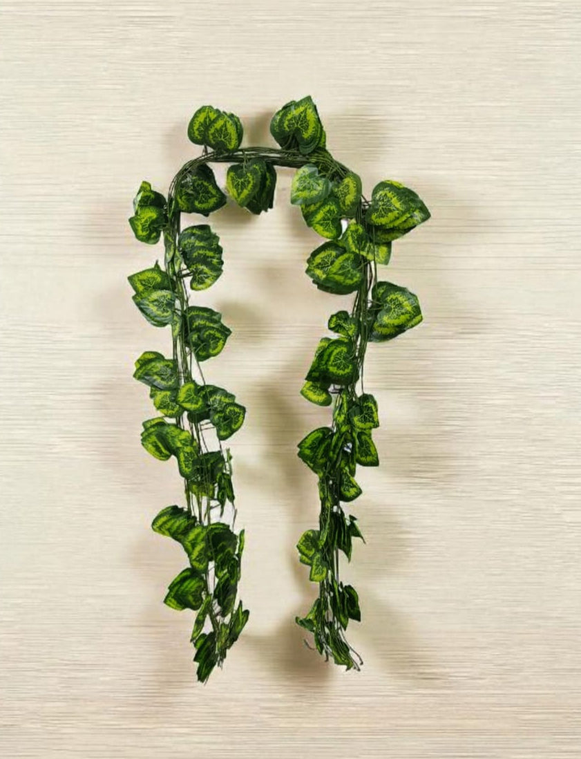 Docena Enredadera Corazón Manchado x12 2.30mts