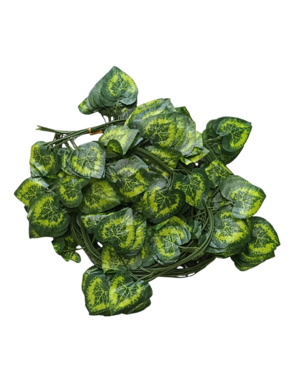 Docena Enredadera Corazón Manchado x12 2.30mts