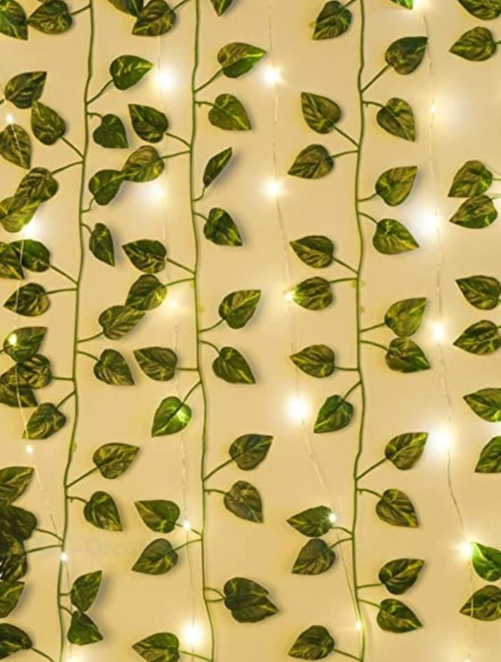 Docena Enredadera Hoja Miami Premium x12 2.40mts