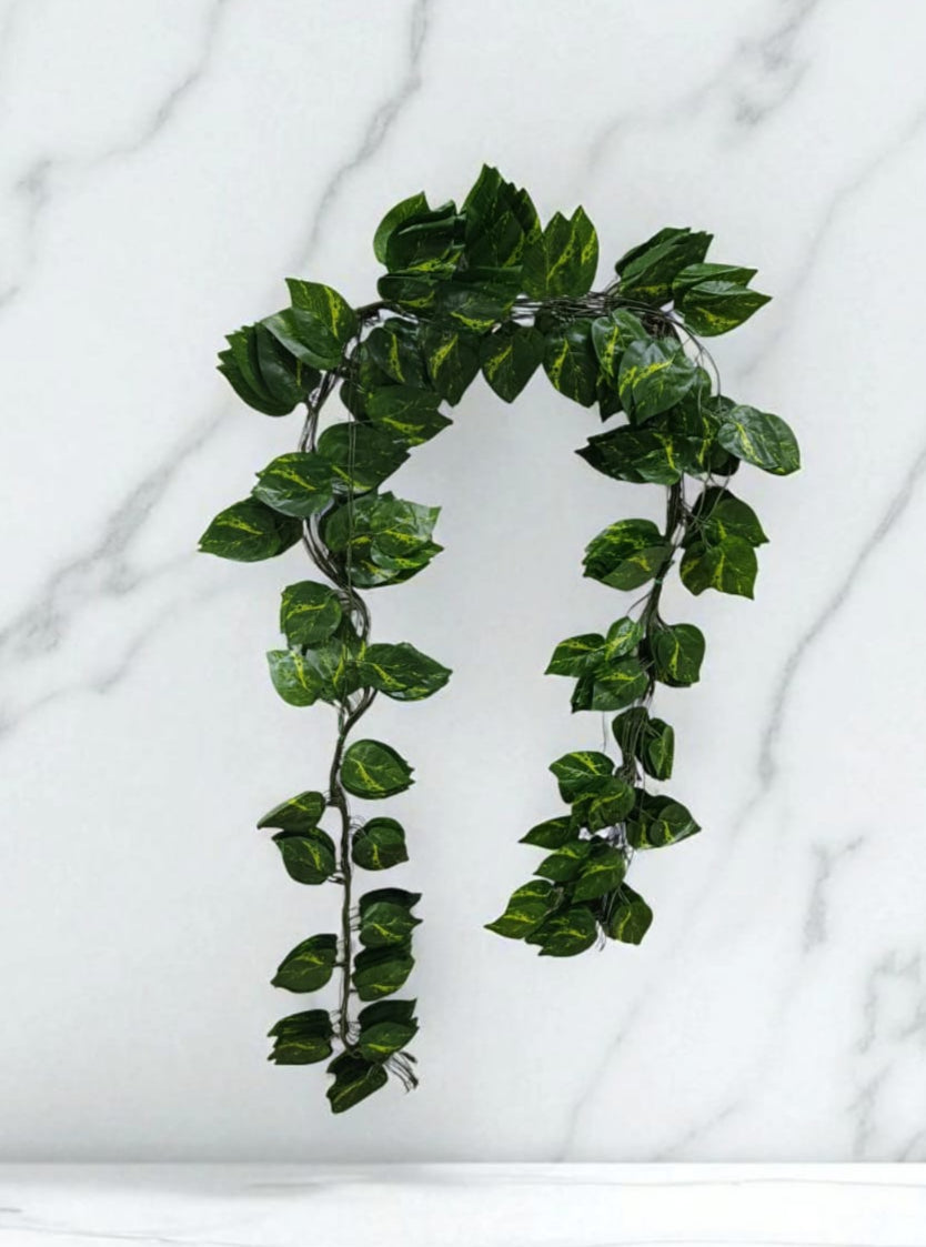 Docena Enredadera Hoja Miami Premium x12 2.40mts