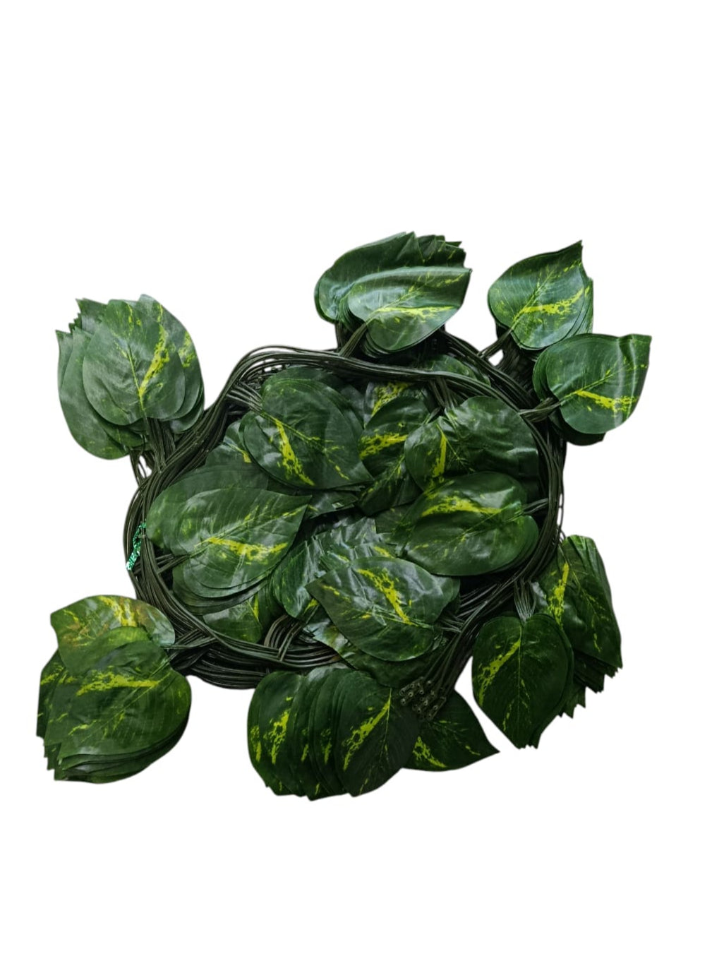 Docena Enredadera Hoja Miami Premium x12 2.40mts