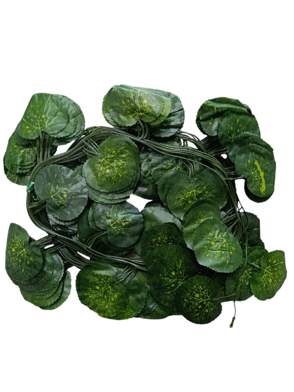 Docena Enredadera Hoja Redonda Premium 2.40mts