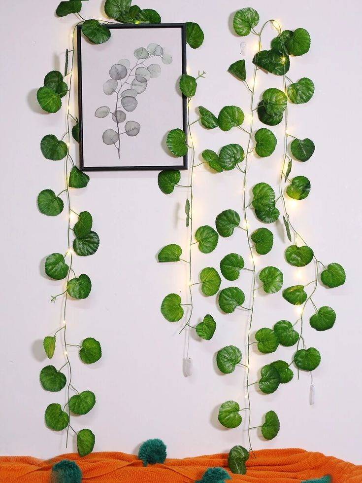 Docena Enredadera Hoja Redonda Premium 2.40mts