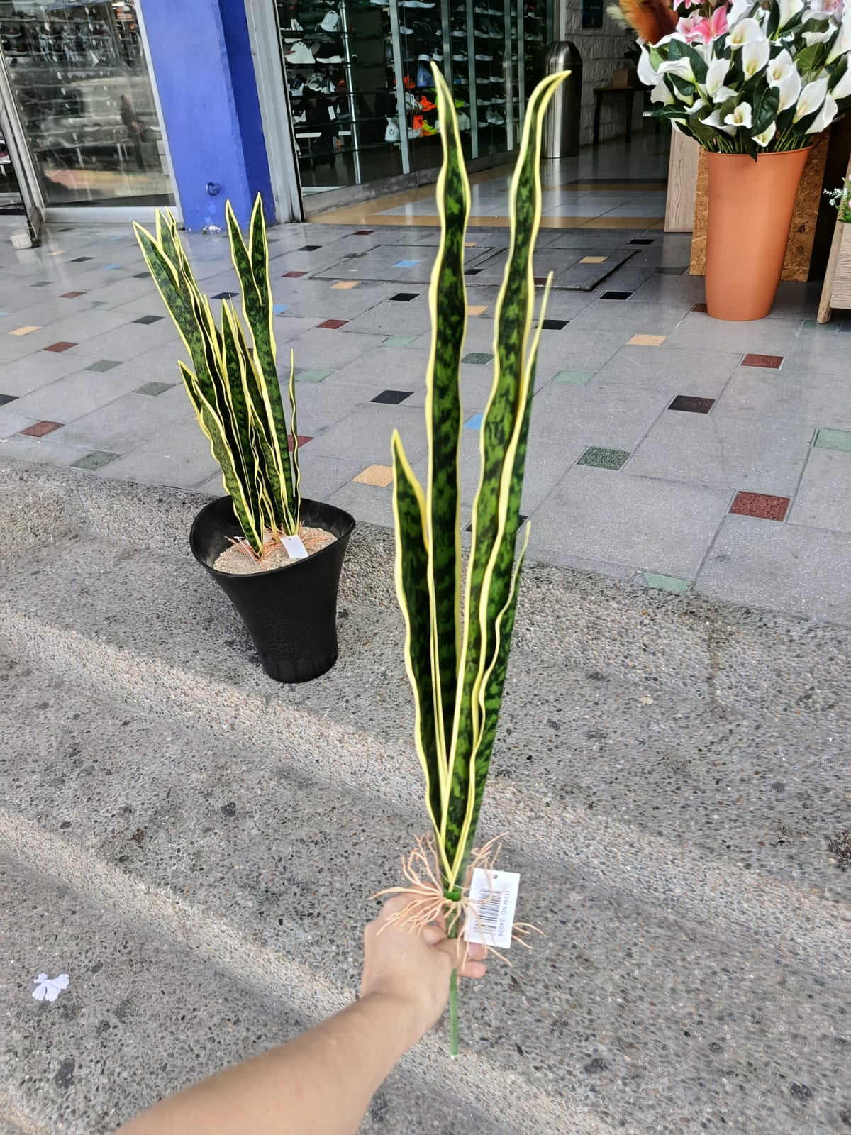 Planta Lengua de Suegra Artificial Para Matera 65cm