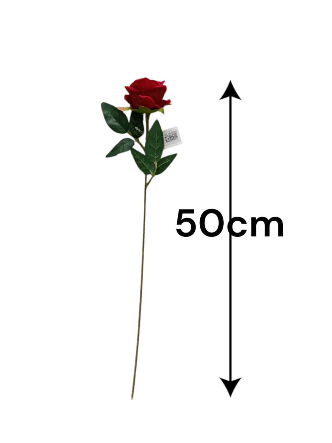 Rosa Tipo Ans Roja 50cm