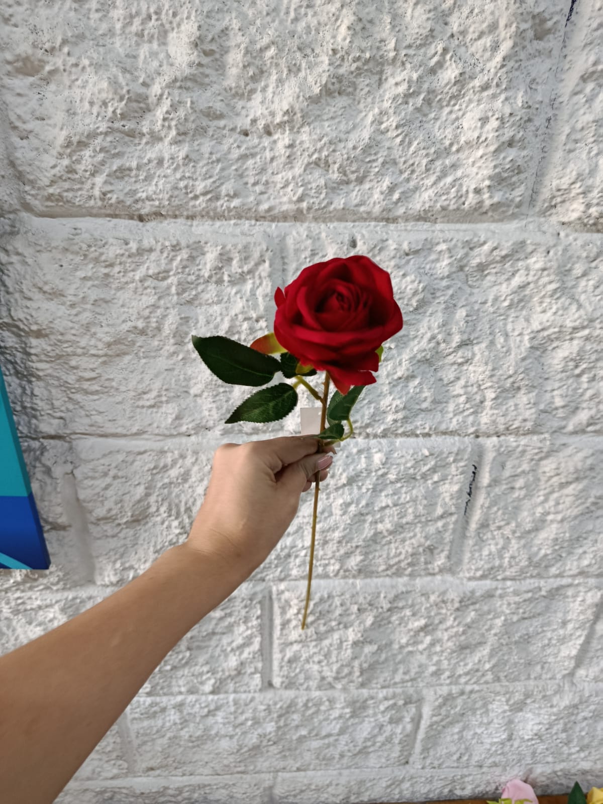 Rosa Tipo Ans Roja 50cm