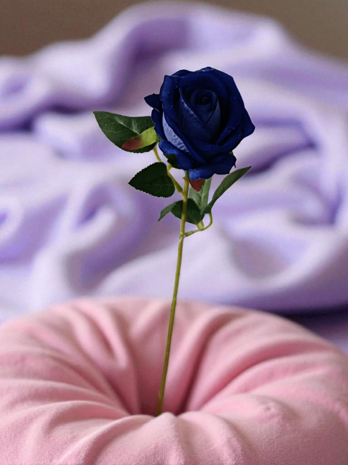 Rosa Tipo Ans Azul 50cm