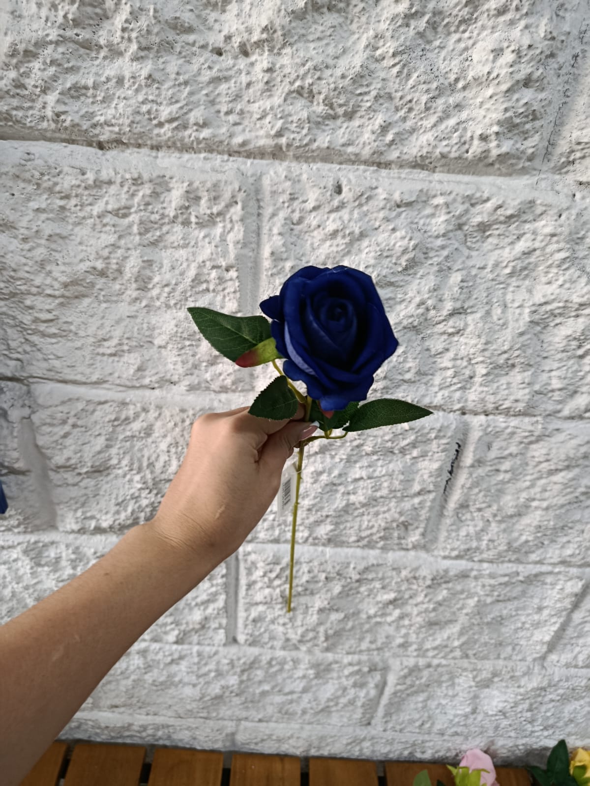 Rosa Tipo Ans Azul 50cm