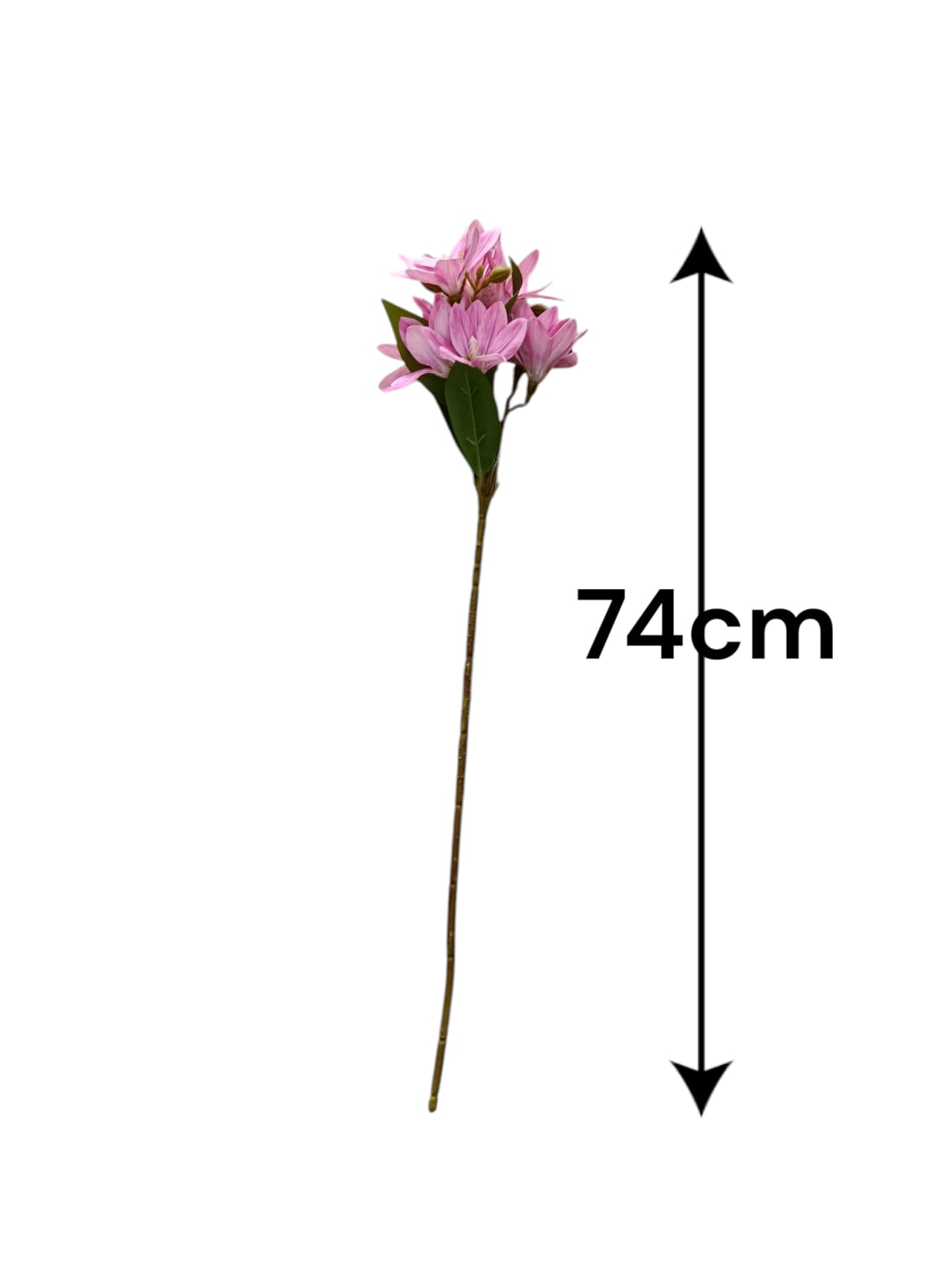 Ramo Magnolia Sencilla Latex 74cm