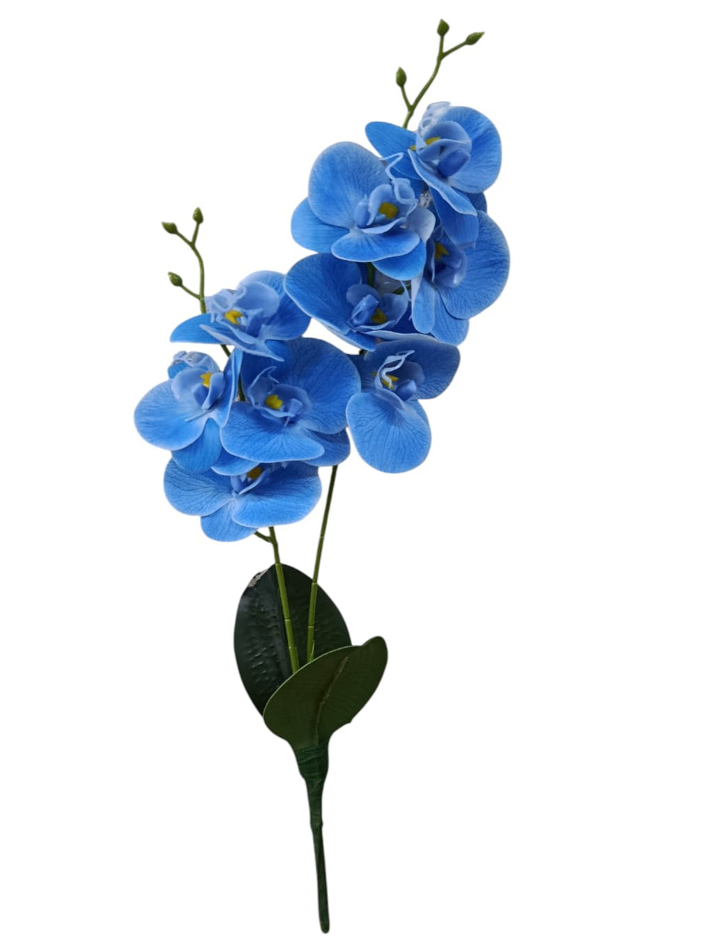 Flor Orquídea con Raíz Tallo Corto 46cm