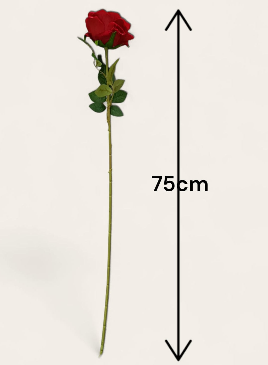 Rosa Abierta Terciopelo Roja 75cm