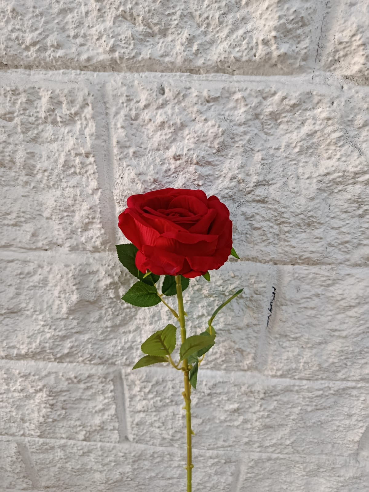 Rosa Abierta Terciopelo Roja 75cm