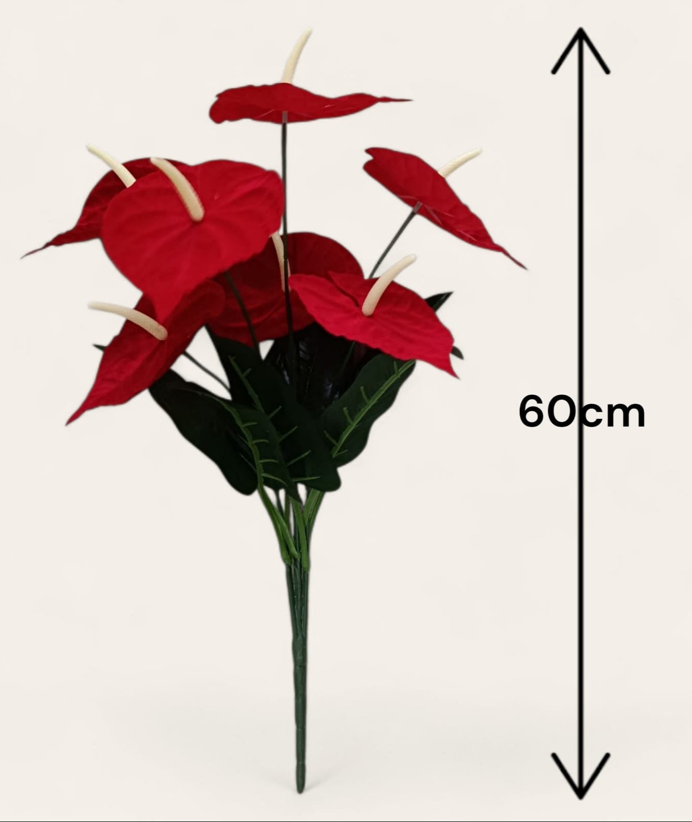 Planta para Matera Anturio Rojo Sim 60cm