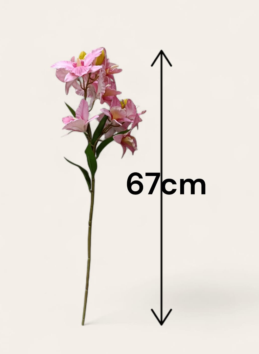 Ramo Flor Cattleya Rosa 67cm