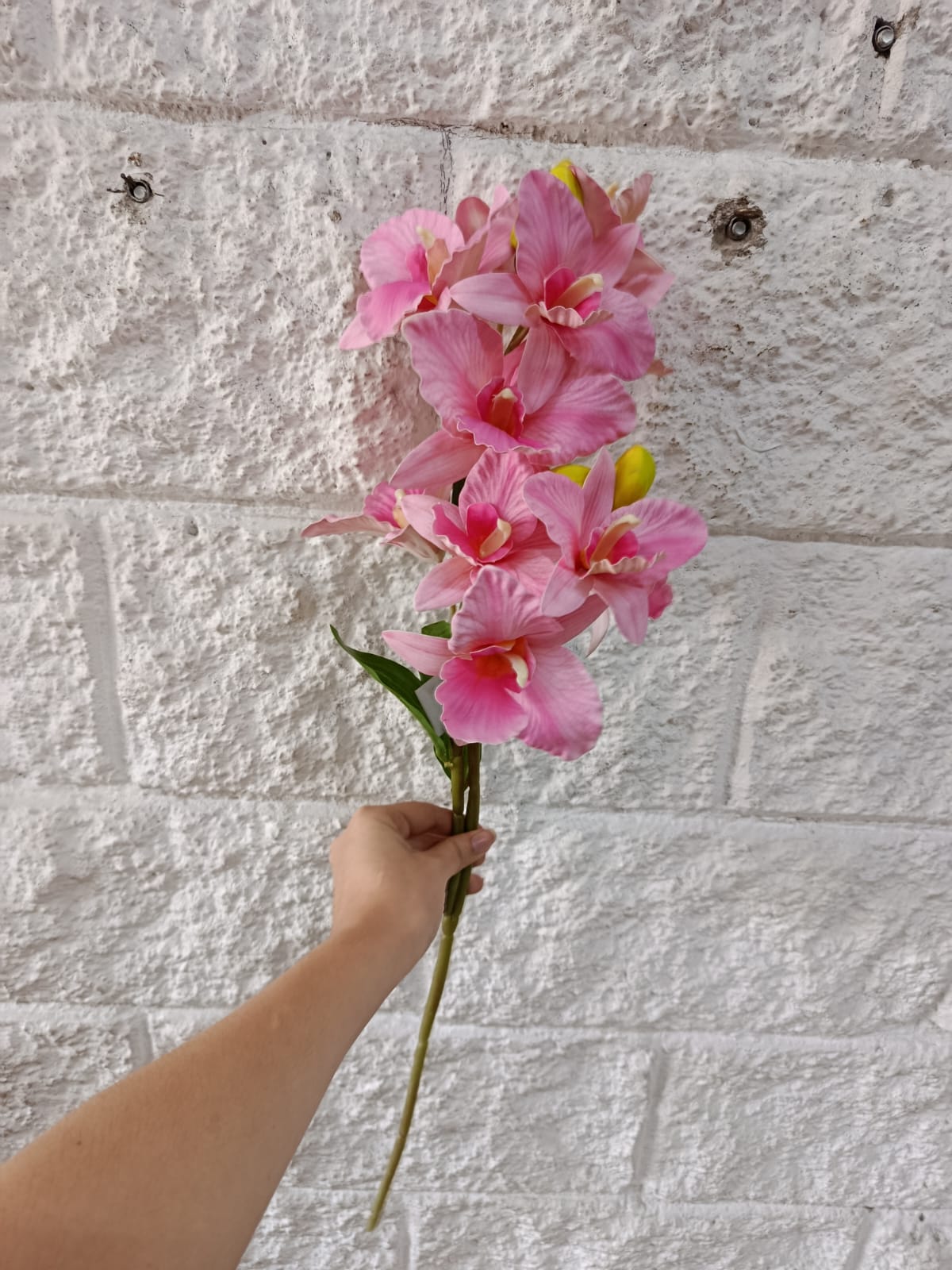 Ramo Flor Cattleya Rosa 67cm