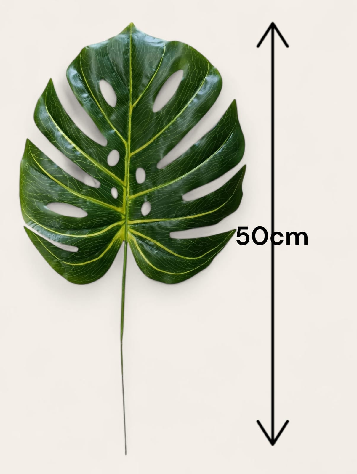 Hoja Balazo Tallo Corto 50cm