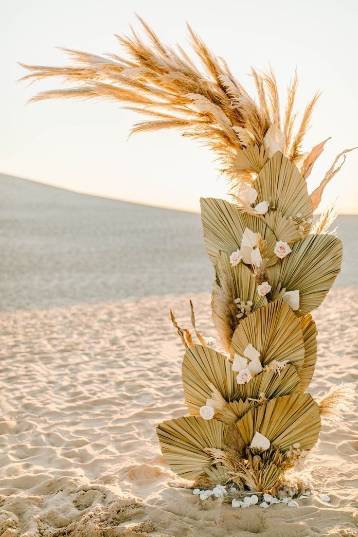 Hoja Hiraca Seca 60cm