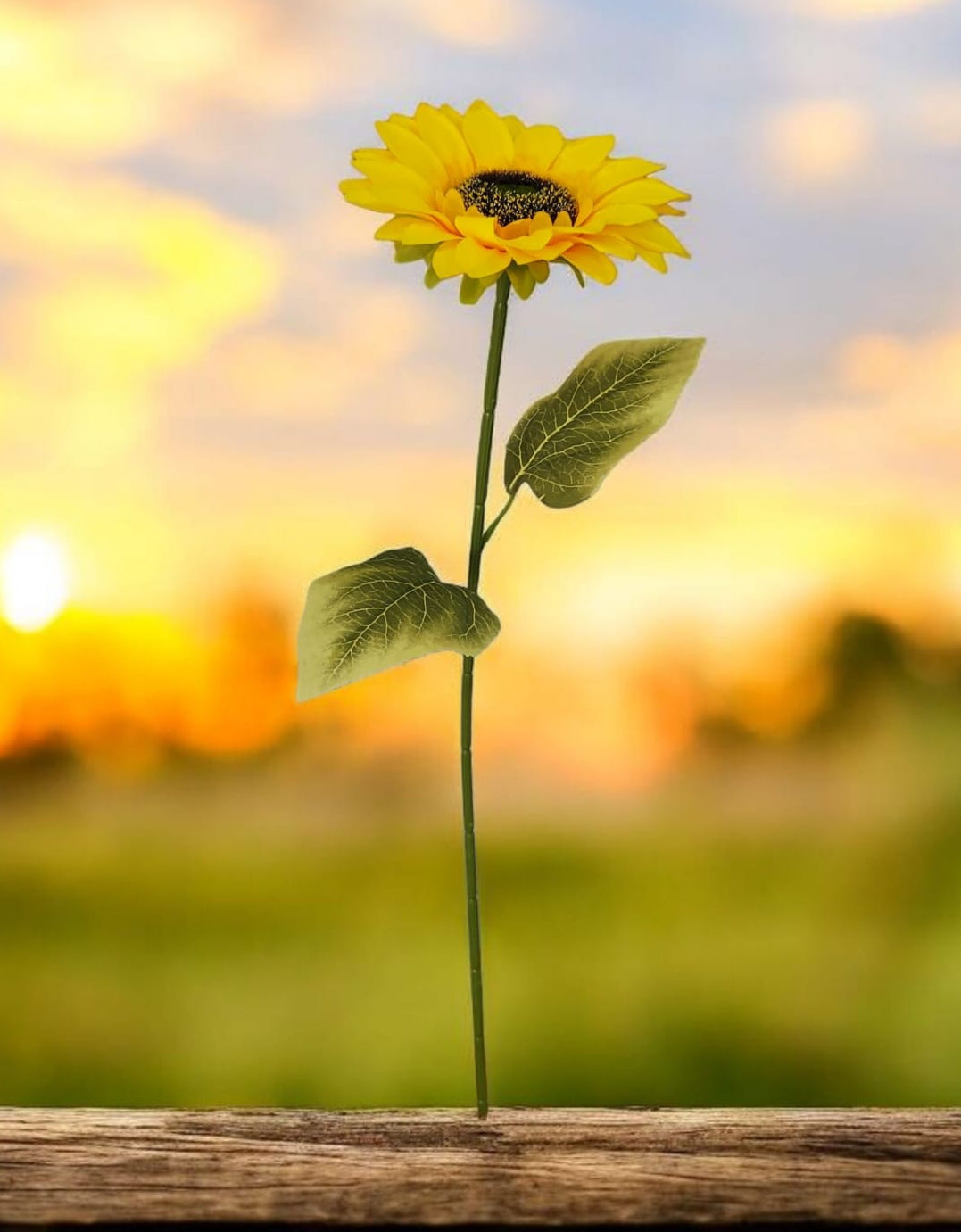Girasol Individual 60cm