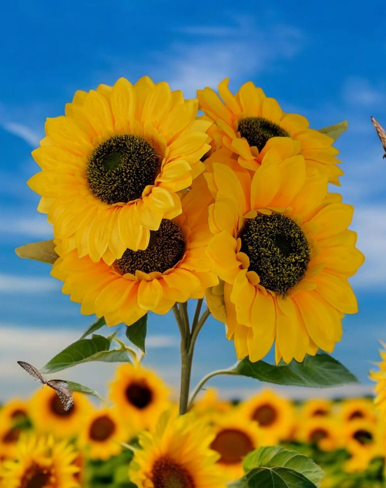 Girasol Ramo x5 45cm