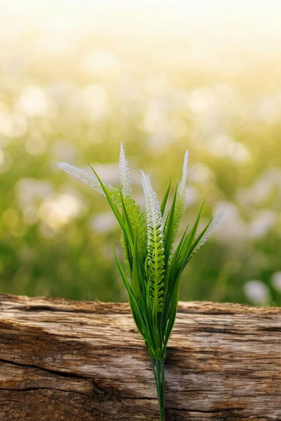 Follaje General Setaria 46cm
