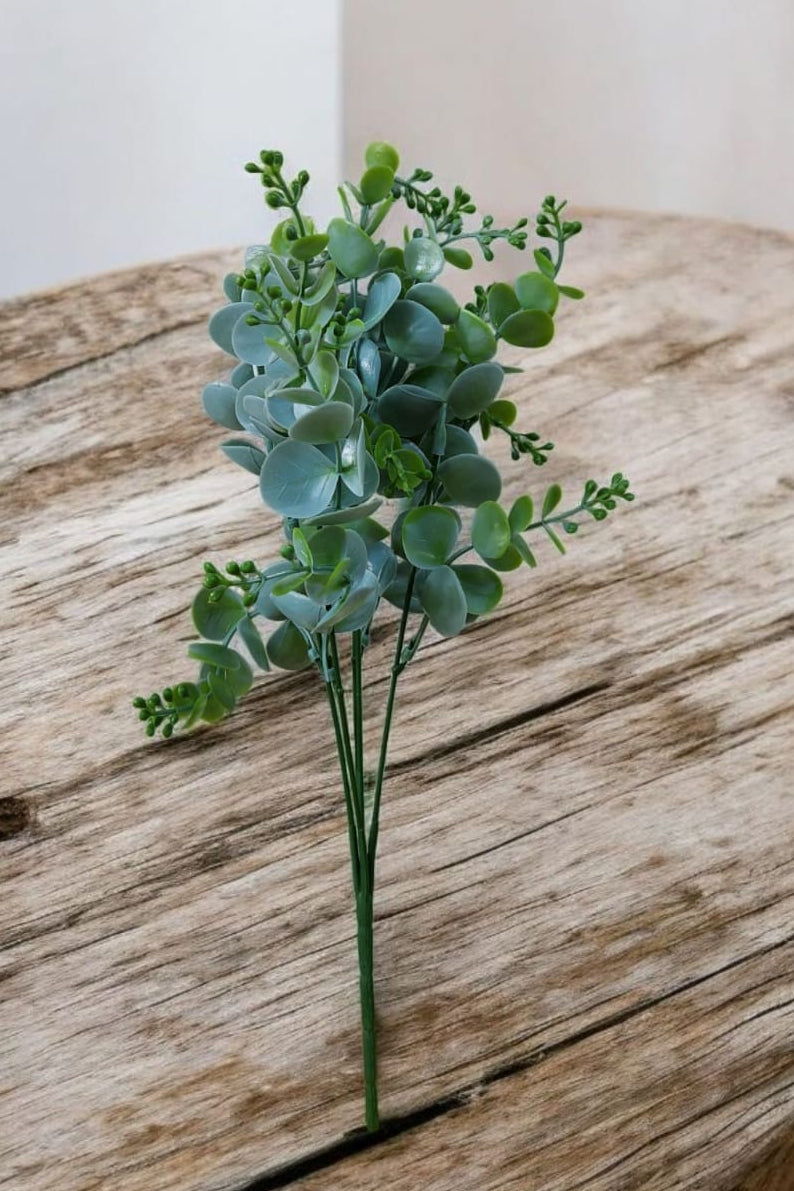 Follaje General Eucalyptus Cinerea 36cm