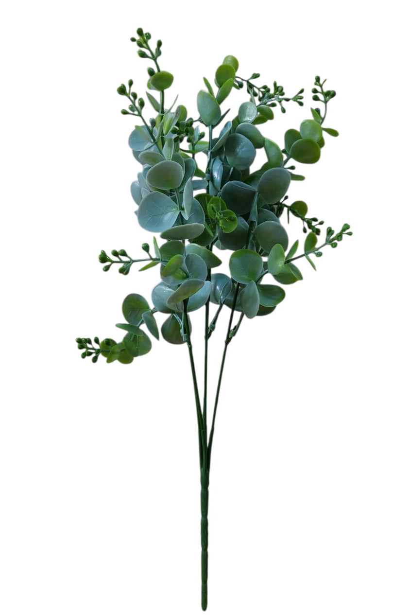 Follaje General Eucalyptus Cinerea 36cm