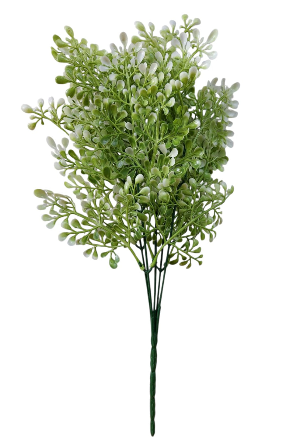 Follaje General Viscum Album 37cm