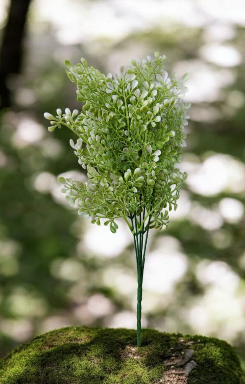 Follaje General Viscum Album 37cm