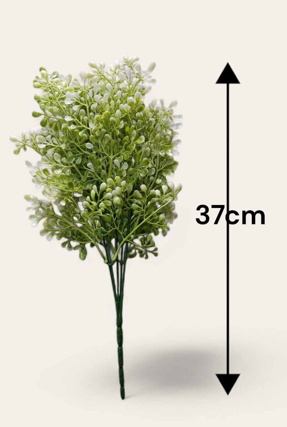 Follaje General Viscum Album 37cm