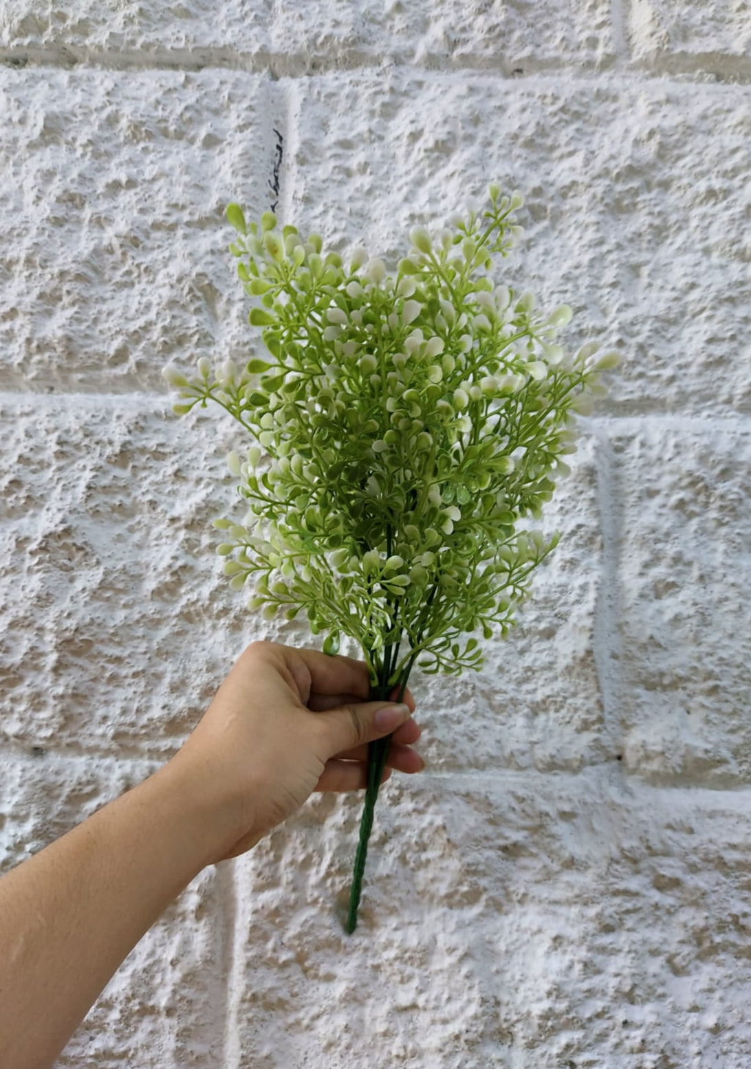 Follaje General Viscum Album 37cm