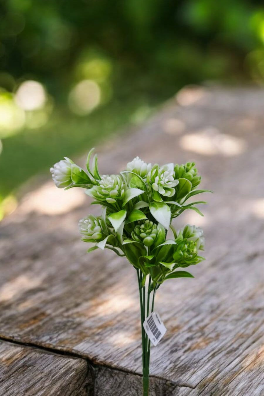 Follaje General Suculenta Blanco 32cm