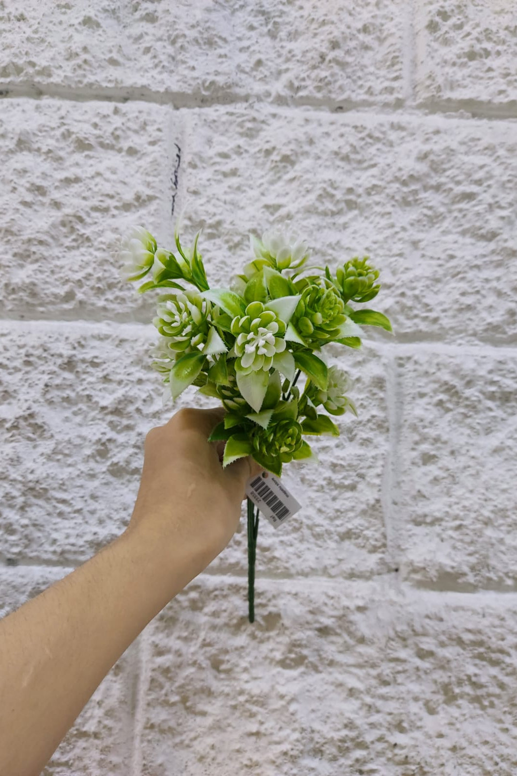 Follaje General Suculenta Blanco 32cm