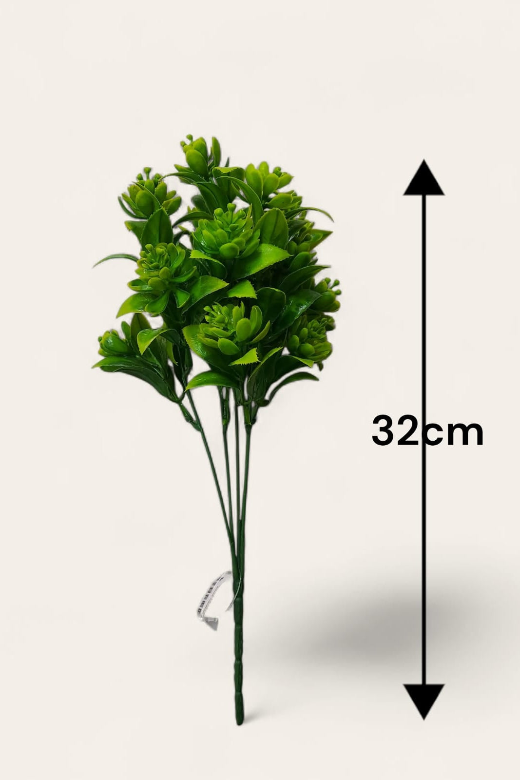 Follaje General Suculenta 32cm