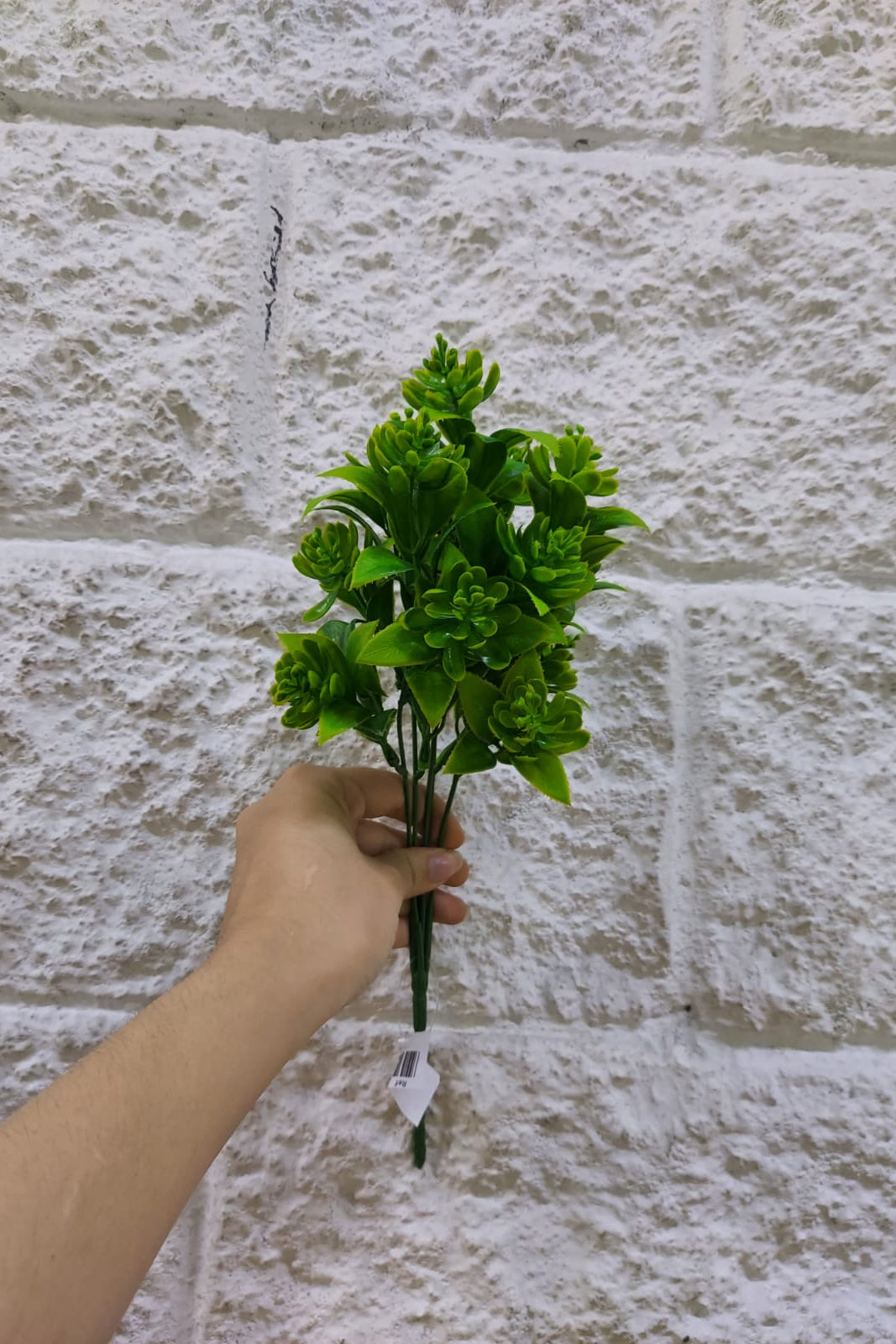 Follaje General Suculenta 32cm