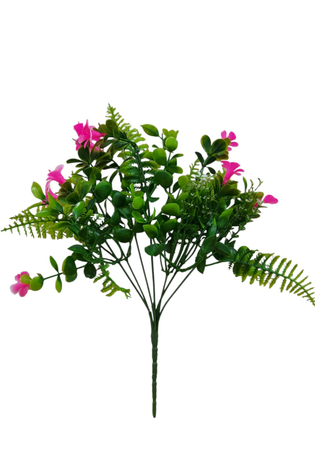 Follaje General Bacopa Monnieri Rosa 33cm