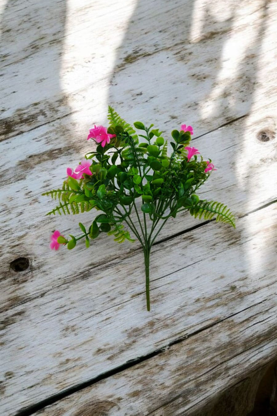 Follaje General Bacopa Monnieri Rosa 33cm