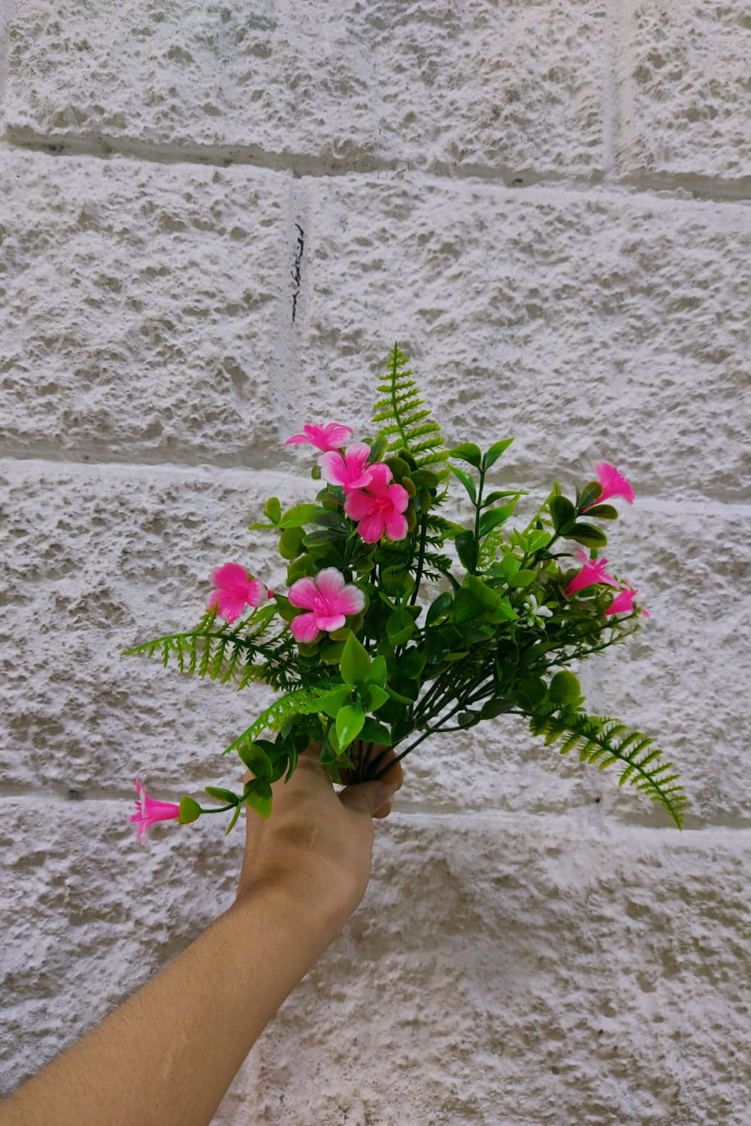 Follaje General Bacopa Monnieri Rosa 33cm