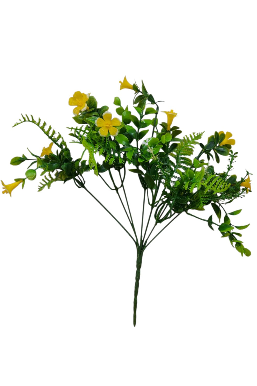 Follaje General Bacopa Monnieri Amarillo 33cm